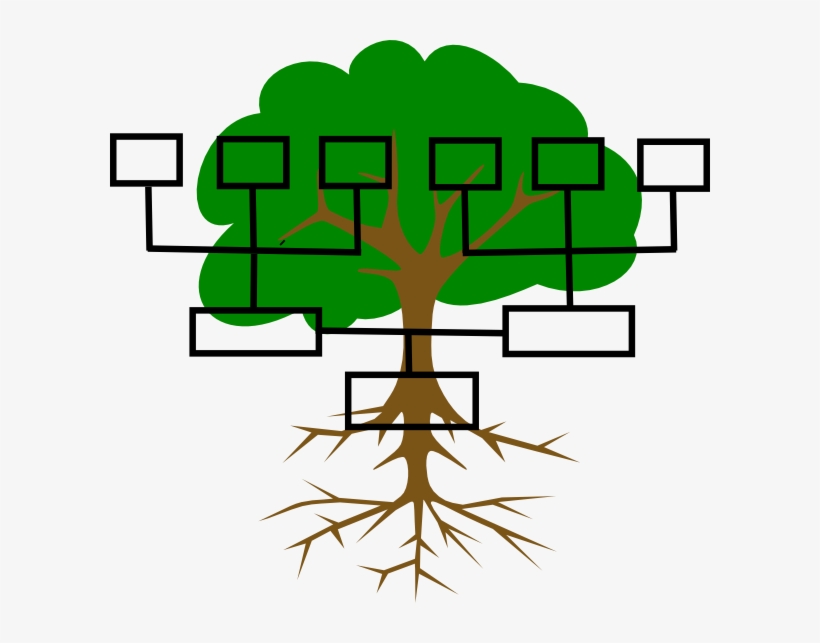 Family tree chart
