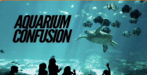 aquarium esc room