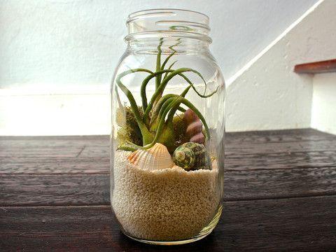 Totally Terrarium