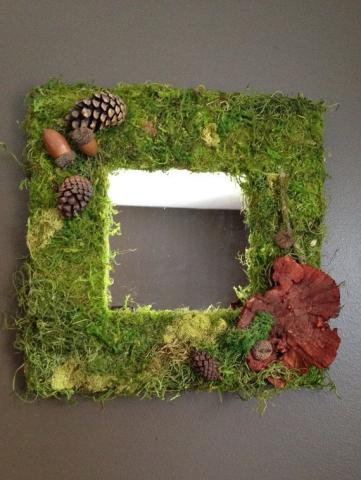 Crafteen Moss Mirror