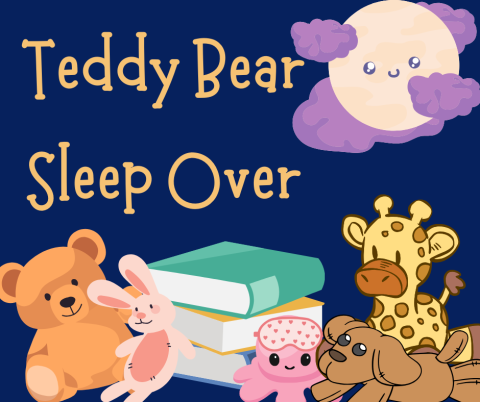 teddy bear sleepover