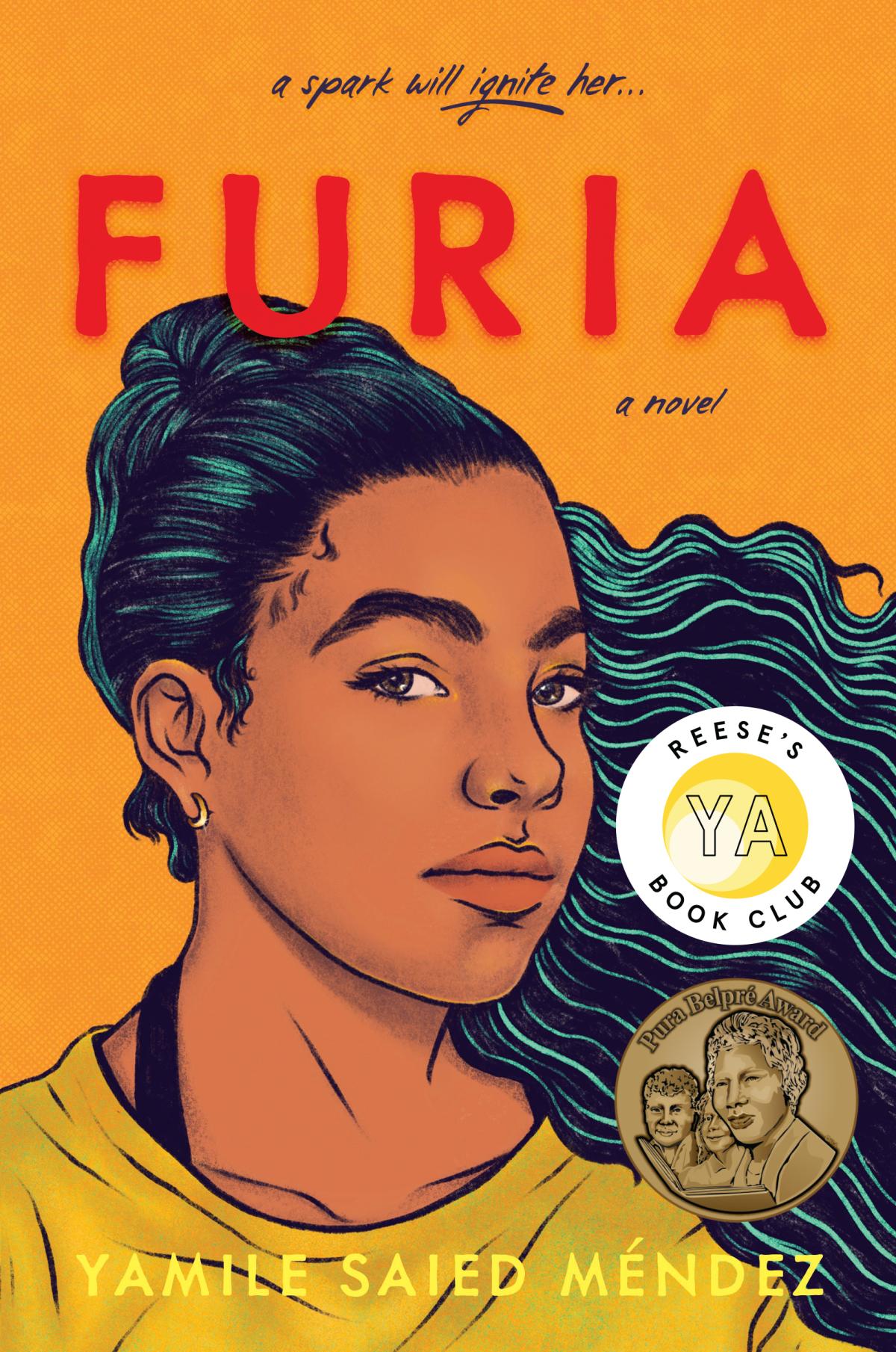 Furia book Cover